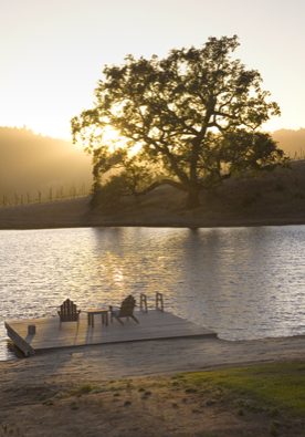 lake-with-vineyard